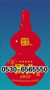 ZH-P005 500ml